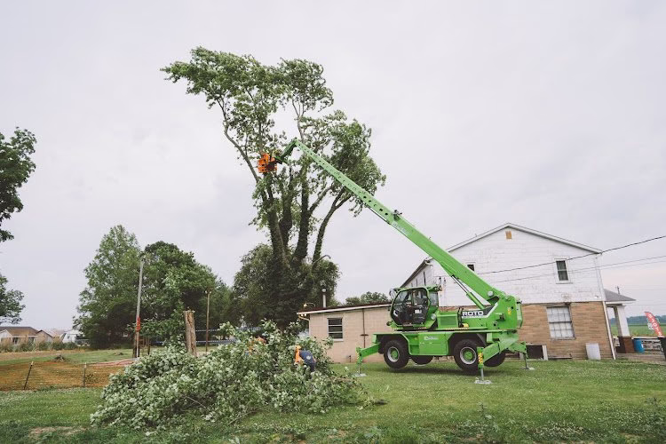 63424 meurer brothers tree care 1