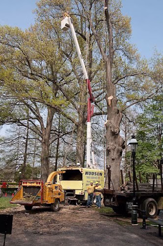 63439 hudson tree service 1