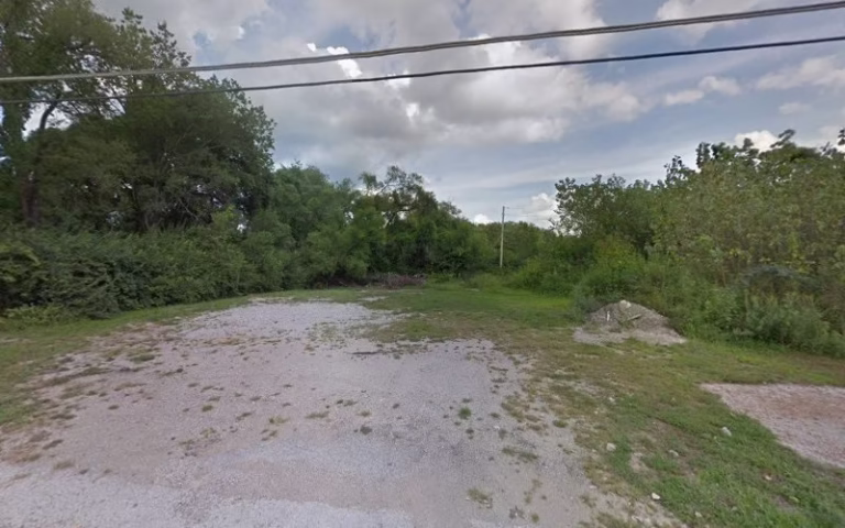 63448 yard bird tree service 1 768x480