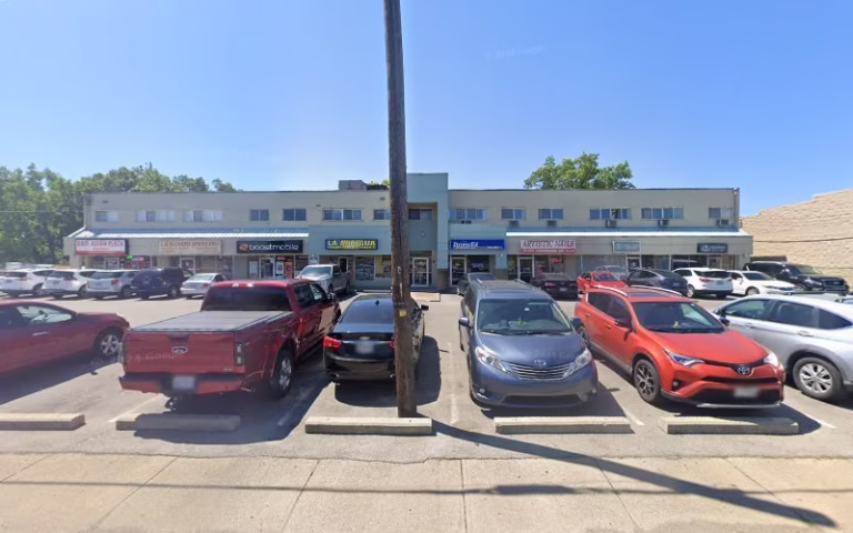 63506 the queen of the west tree service 768x480