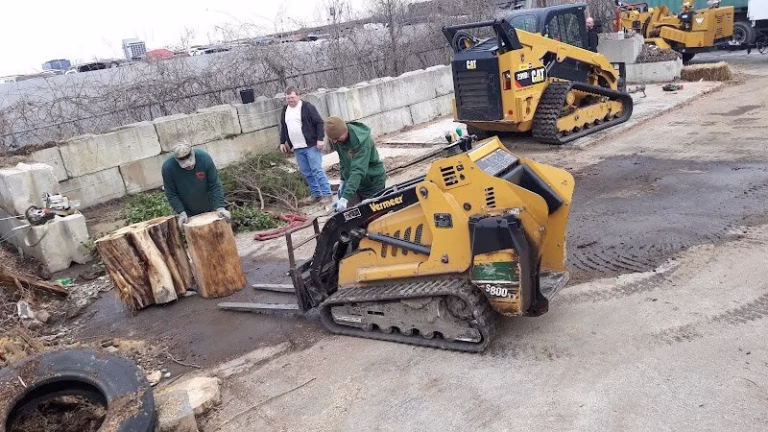 63512 back tree service 768x432