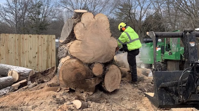 63536 native tree care 1 768x432