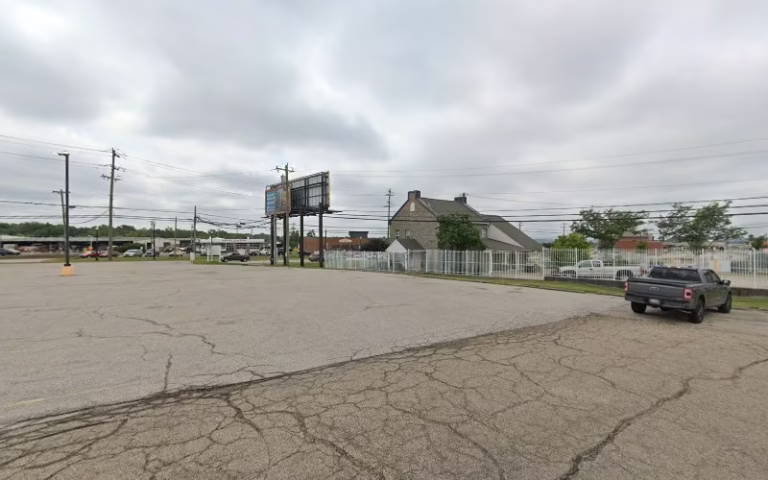 63539 joshua tree experts 1 768x480