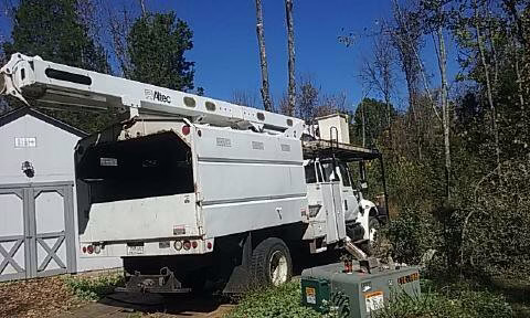 63542 cincinnati arbor services