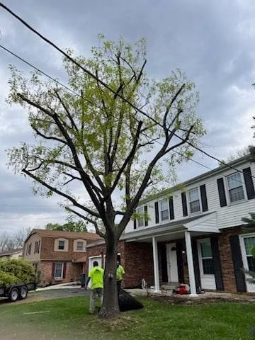 63551 william h tree service 1