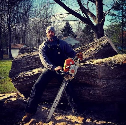 63557 slatts trees 1