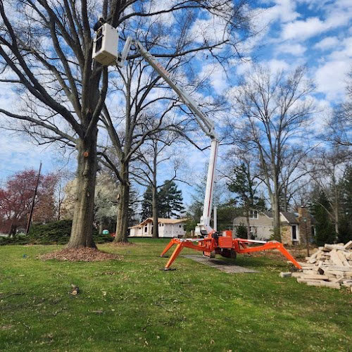 63587 spartek tree service llc 1