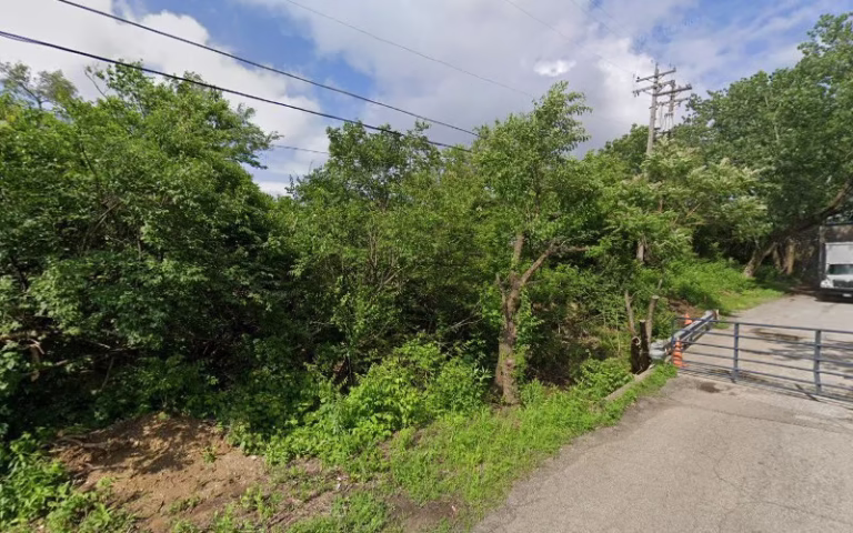 63631 all american tree care 1 768x480