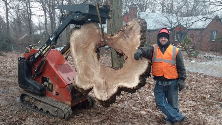 63745 the tree surgeon 1 768x432