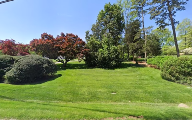 63883 adams tree service inc 1 768x480