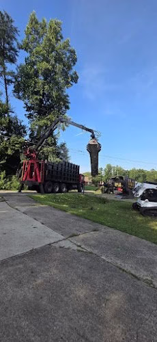 63930 da tree services 1