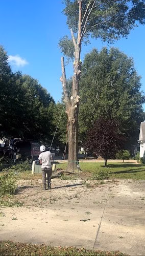 63954 spartan tree service landscaping llc 1