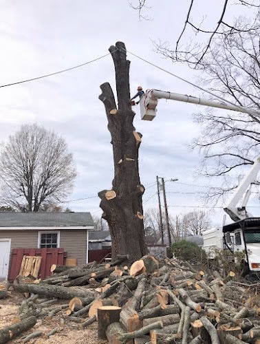 63995 yksor tree service llc 1