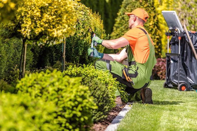 63998 faderera landscaping and tree service 1