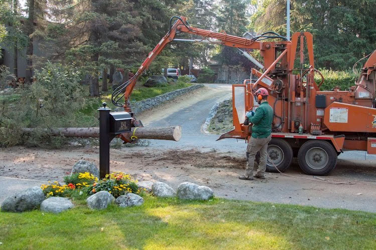 64028 gage tree service 2