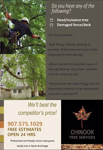 64051 chinook arborist technical services 1