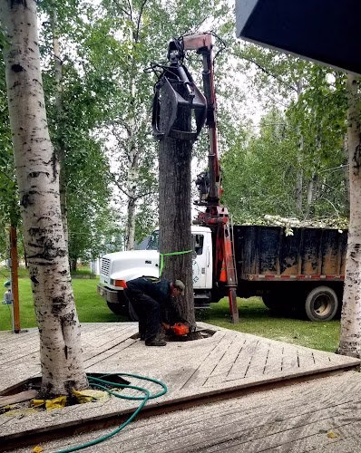 64063 valley tree services 1