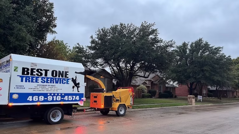 64112 best one tree service 768x432