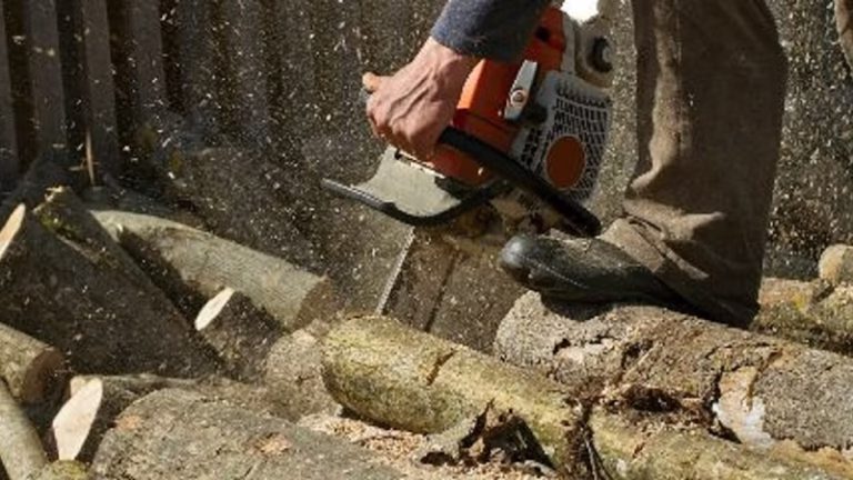 64217 a treeworks 768x432