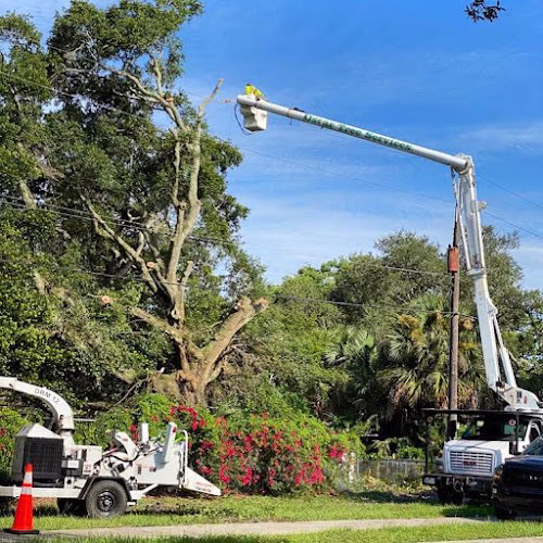 64330 oscar tree services llc 1