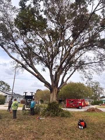 64354 royalty outdoor services 1