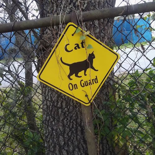 64369 seay tree service inc 1