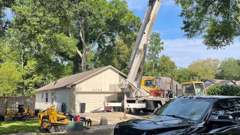 64383 curbys outdoor tree service 768x432