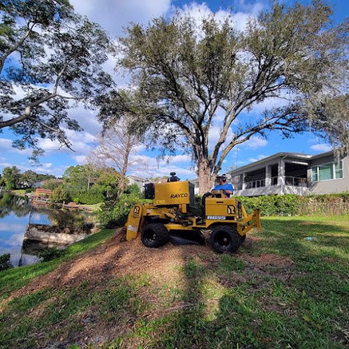 64401 orlando stump grinding inc 1