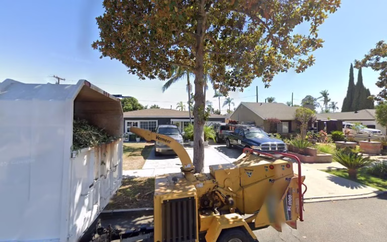 64442 jay tree services 1 768x480