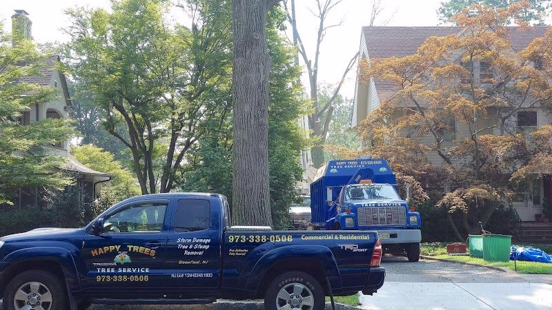 64496 happy trees by mgm tree service landscaping llc 1