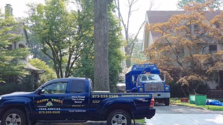 64496 happy trees by mgm tree service landscaping llc 768x432