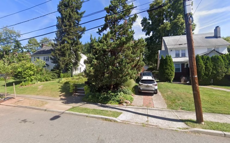 64499 jls tree landscape 1 768x480