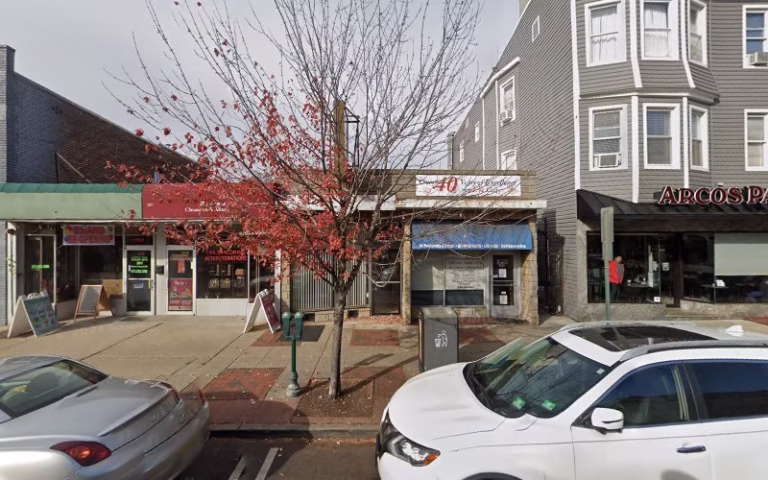 64502 zeus tree experts inc 1 768x480