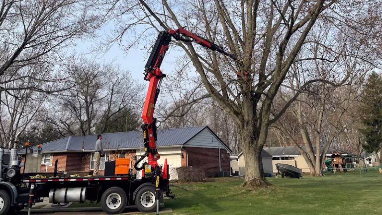 64546 livingston tree service 1 768x432