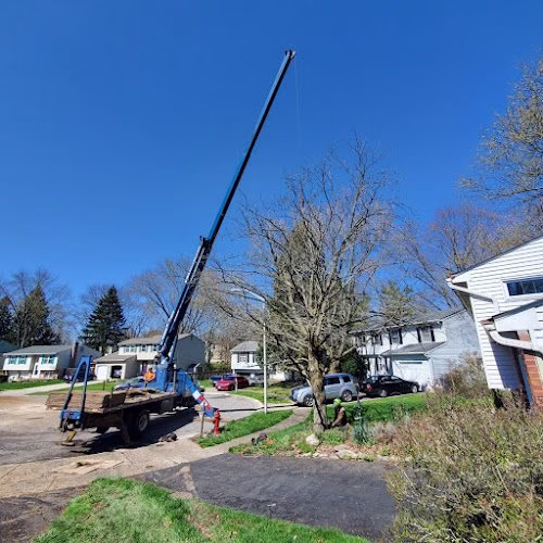 64630 the 1 tree service 1