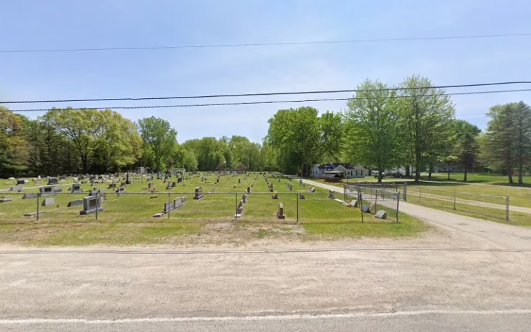 64648 buds tree service 1 768x480