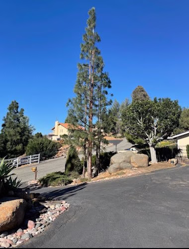 64794 cm precision tree and landscaping 1