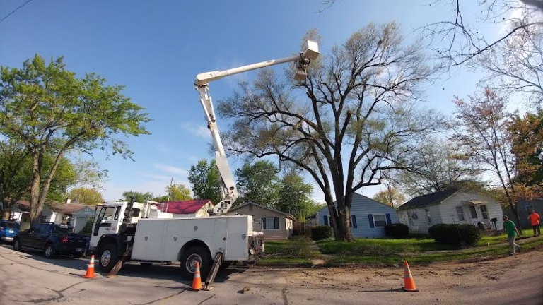 64850 s a tree service fort wayne 768x432