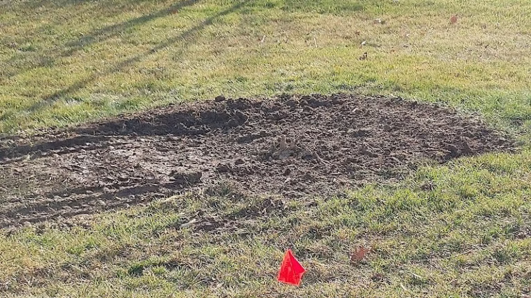 64880 wheatcraft tree and lawn 1 768x432