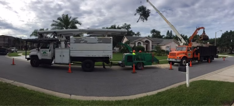 64960 brians quality tree service 768x348