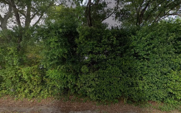 65019 meadows tree services 768x480