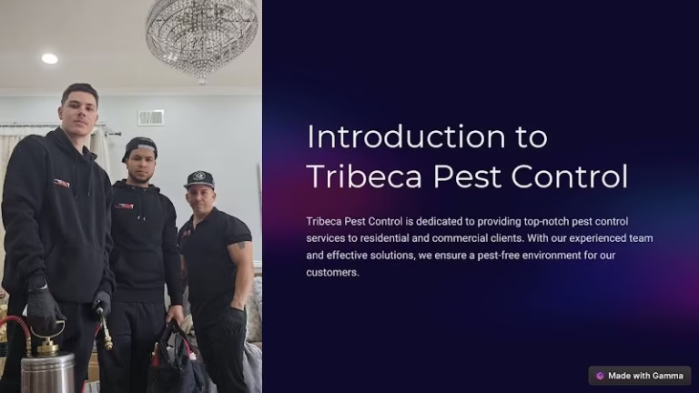 67593 tribeca pest management 1 768x432