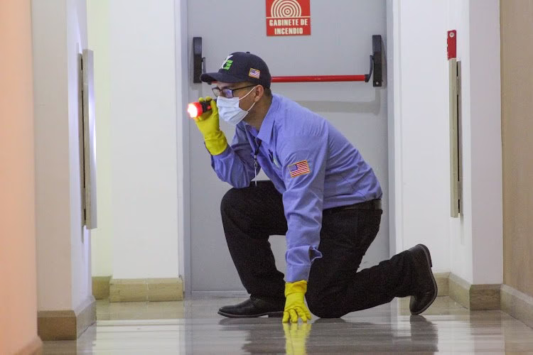 67757 new york exterminating inc 1