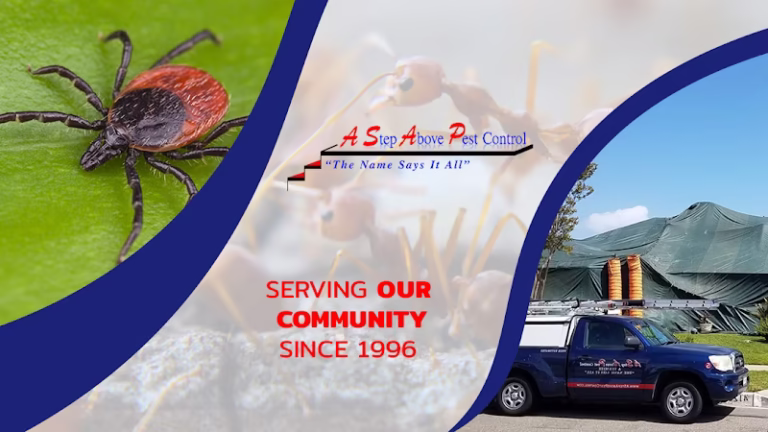 67805 a step above pest control 1 768x432