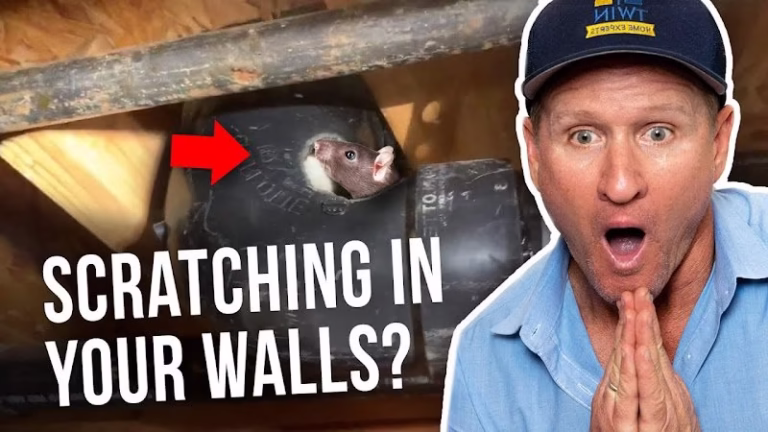 67808 rodent stoppers 8211 rodent attic cleanup los angeles 768x432