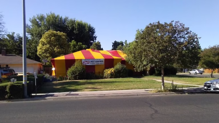 67820 dewey pest termite control 8 768x432