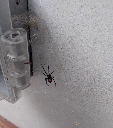 67841 jacob termite pest control inc 1