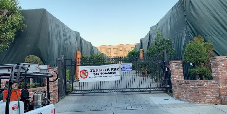 67865 termite pro 768x386