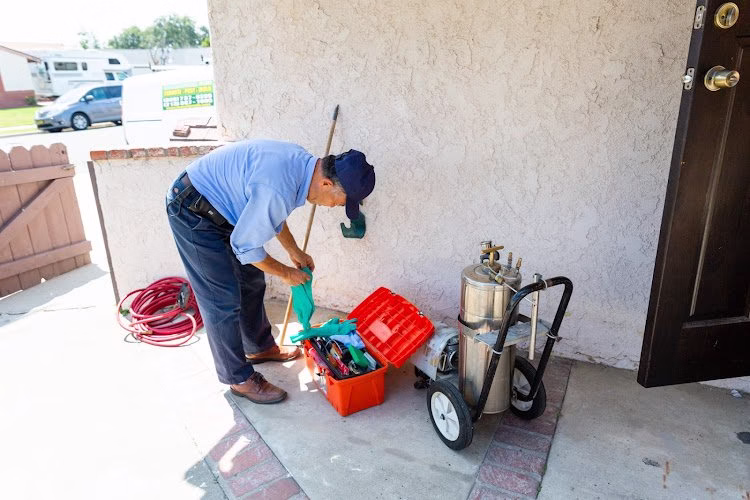 67880 green termite pest control