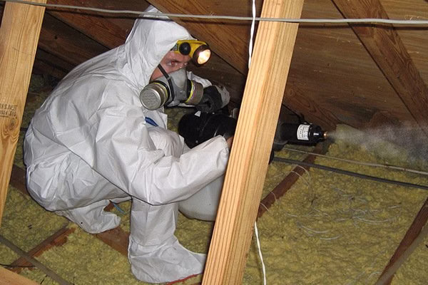 67920 rat control of los angeles 1